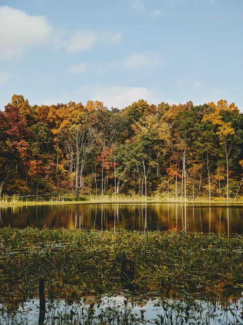 Indiana | Environmental Inclusion
